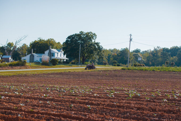 Pine Knot Farms: Black-Owned Farmland Land Loss and Legacy