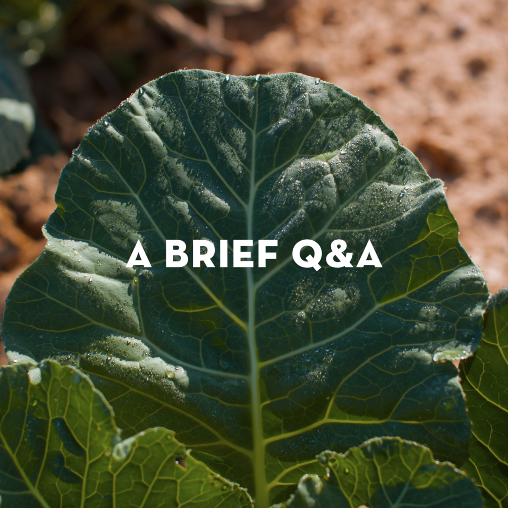 image of organic collards with a brief q&a written on top