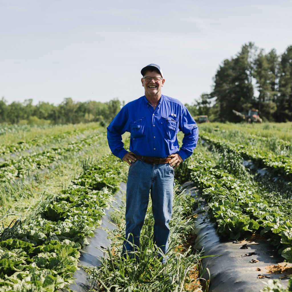 north carolina organic farmer randy massey standing in a field of organic romaine lettuce