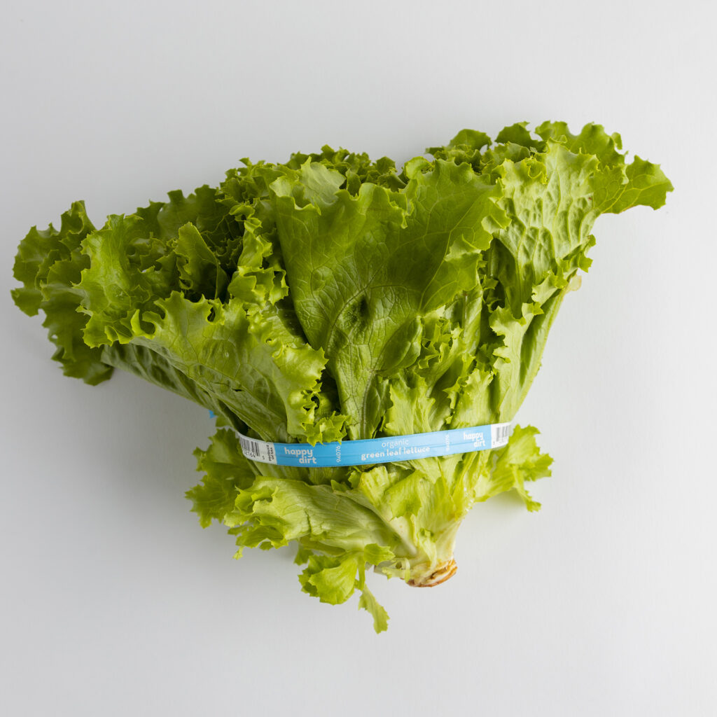 head of organic green leaf lettuce with a happy dirt blue twist tie, laying on a white surface.
