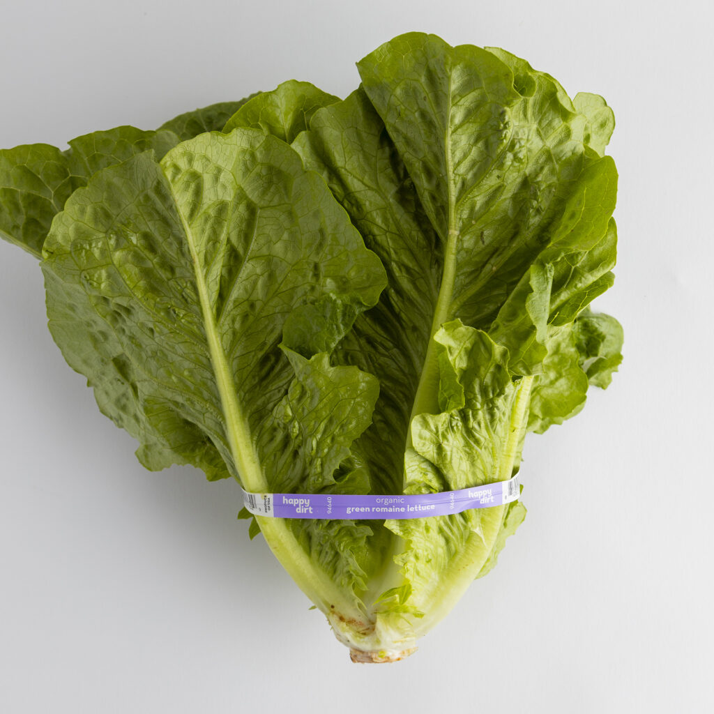 a head of organic green romaine lettuce with a purple happy dirt twist tie, laying on a white surface.